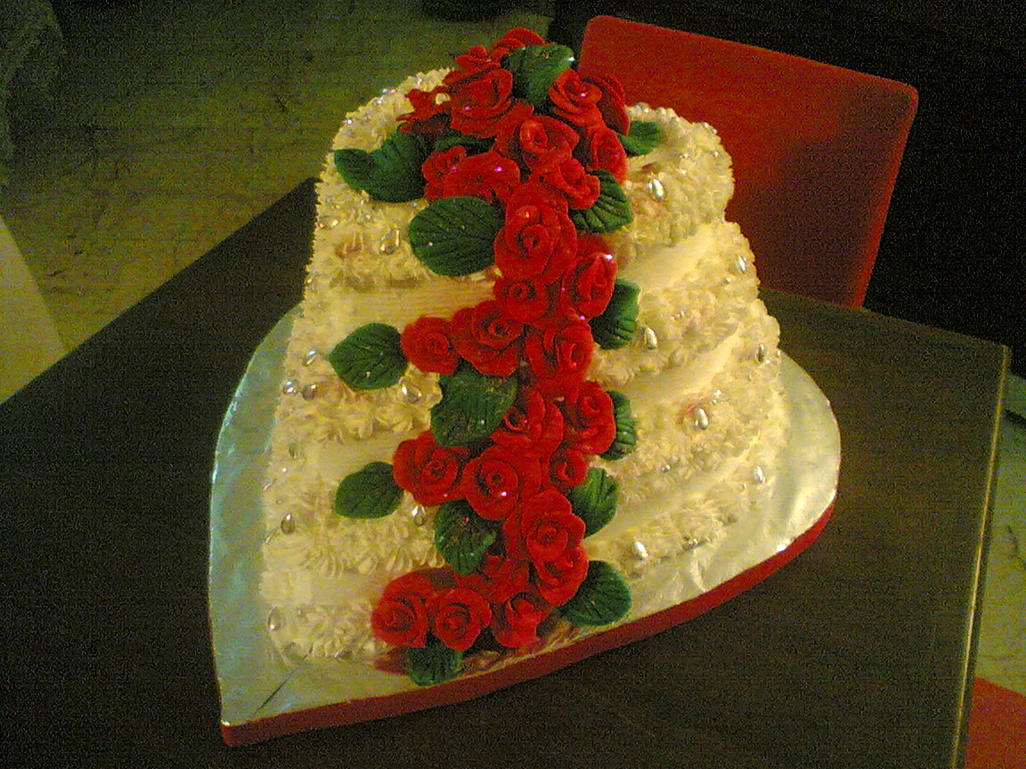 Hizmet Galerisi